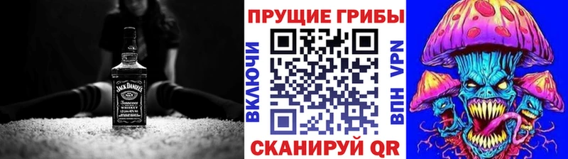 купить  цена  Безенчук  Псилоцибиновые грибы мицелий 